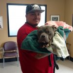 Jesse Sanchez holds his dog Dixie after her hours-long surgery on Spay Day Sacramento 2016.